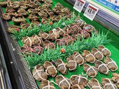 -永辉超市(嘉定宝龙广场店)