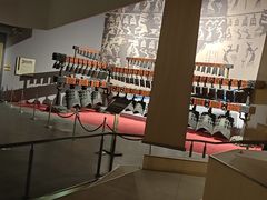 -武汉园博园(武汉自然博物馆)