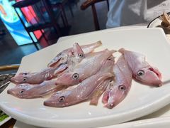 -潮人姐妹轩(海宁路店)