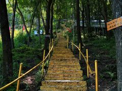 -帽儿山风景区