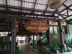 -卷心菜和避孕套餐厅(Pattaya)