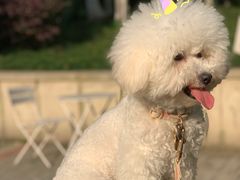 -COTTON CAFE(德信·中外公寓店)