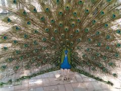 -长白岛森林公园