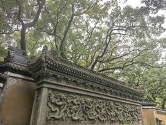 -普陀山风景名胜区-法雨禅寺