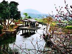 -和顺古镇