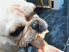 -富贵面包公司(运河店)