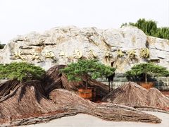 -北京西山国家森林公园