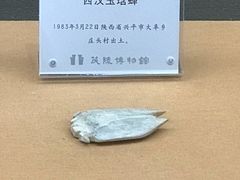 -茂陵博物馆