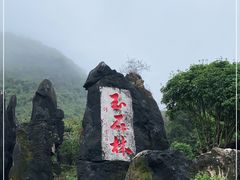 -玉石林风景区