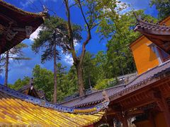 -九华山风景区