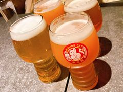 -Boxing Cat Brewery拳击猫精酿啤酒馆(思南公馆店)