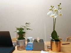 -修申骨雕小颜脊柱骨盆管理产后修复