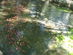 -水磨沟公园