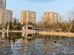 -团结湖公园