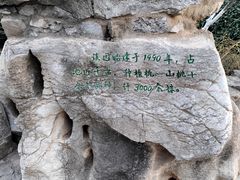 -千佛山风景名胜区