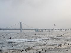 -星海湾跨海大桥