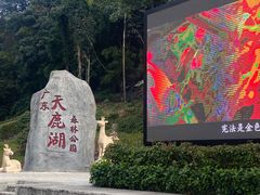 -天鹿湖森林公园