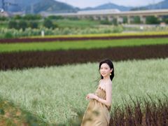 -光明小镇欢乐田园