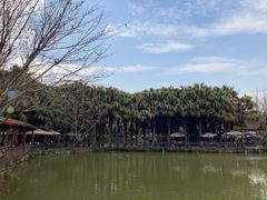 -三圣花乡旅游区