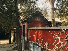 -泰山风景名胜区-普照寺