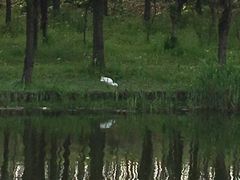 -新江湾城公园