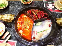 -蜀大侠火锅(森兰花园城店)