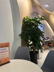 -素美医疗美容·西南眼鼻整形·修复基地