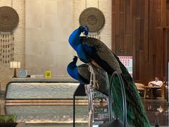 -西双版纳融创皇冠假日度假酒店