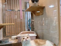 -1013 PET SHOP 宠物商店(近铁城市广场店)