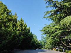 -棒棰岛宾馆景区