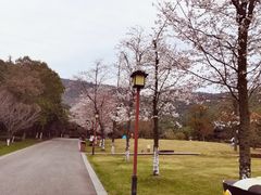 -孙武文化园-停车场
