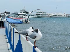 -青海湖二郎剑景区
