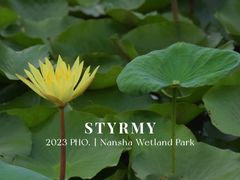-大湾区中央湿地公园