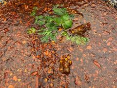 水煮牛柳-芙蓉凰花园酒楼