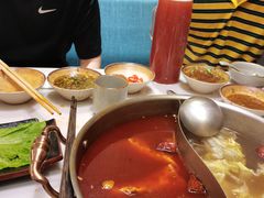 -菌子鲜汤野生菌锅