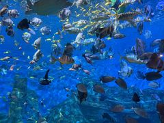 -横店影视城梦幻谷园区