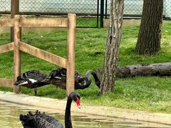 -南戴河国际娱乐中心