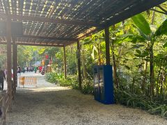 -野象谷景区
