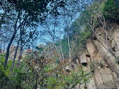 -大岭沟猕猴桃谷风景区