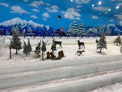 -世界之窗阿尔卑斯冰雪世界