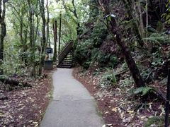 -怀托摩萤火虫洞