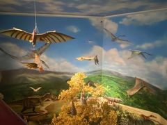 -安徽省地质博物馆