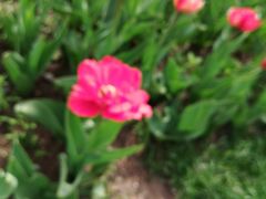 -长春公园(普阳街道)