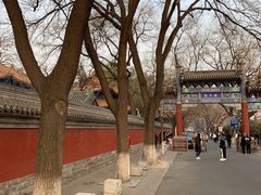 -北京国子监胡同