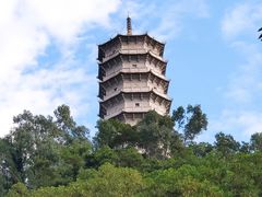 -深圳国际园林花卉博览园