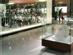 -青岛贝壳博物馆