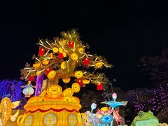 -厦门园林博览苑