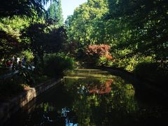 -上海醉白池公园