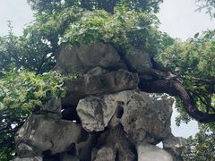 -水绘园