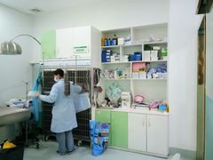 -汪喵宠物医院·骨科心脏影像·犬猫急重症ICU诊疗中心(成华分院)